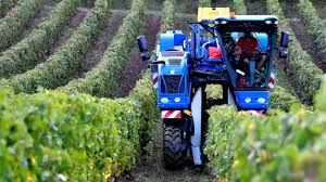 Heatwaves and Drought in Bordeaux: How French Winemakers are Using Technology to Protect Vineyards