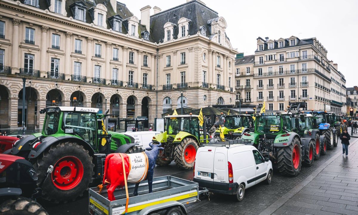 France’s Organic Farming Subsidies in 2024: How New Funding is Transforming Small-Scale Farms in Brittany